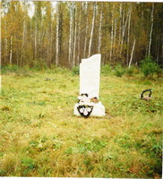 Воинское захоронение (кладбище) Грачиков лес